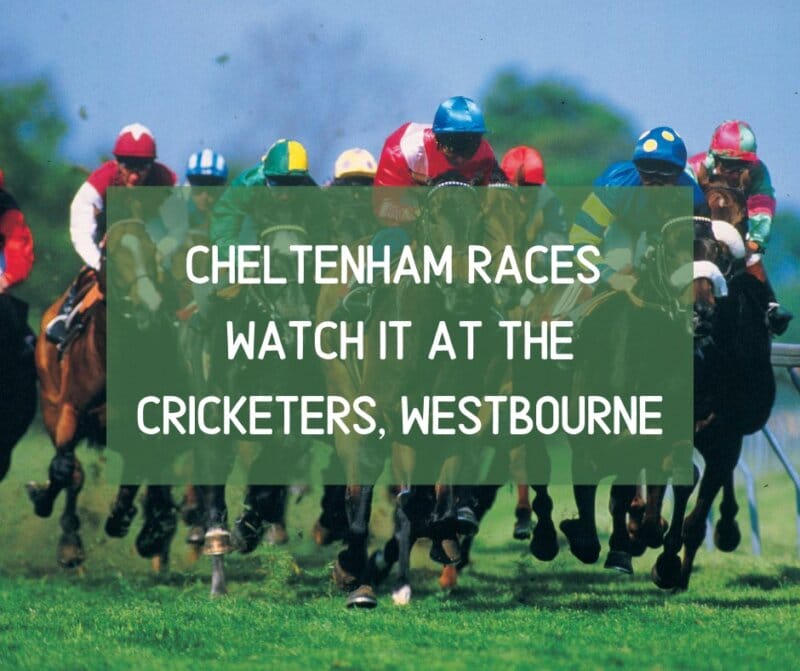 Cheltenham races Watch it At The Cricketers, westbourne