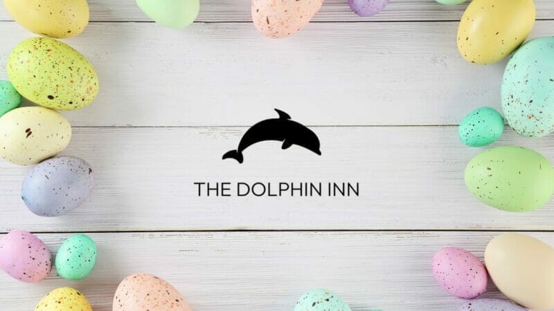 Dolphin-INN-2