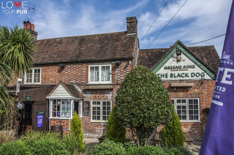 the black dog (Waltham Chase)