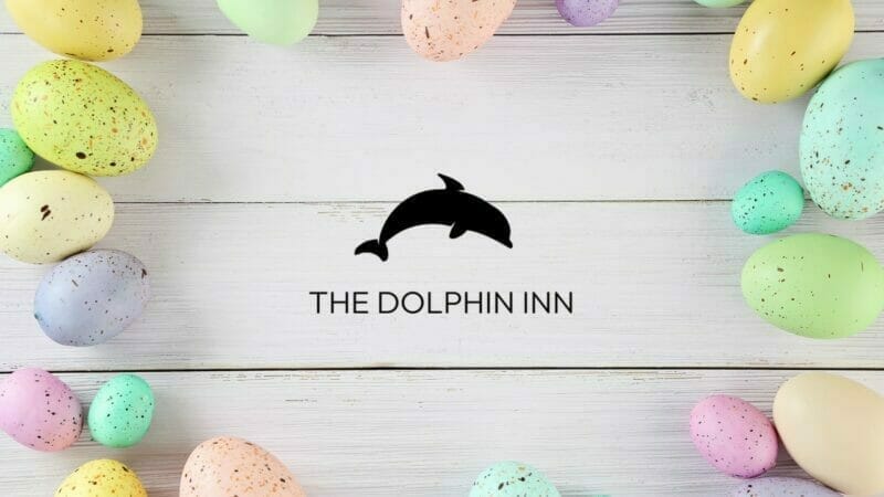 Dolphin-INN-2-1