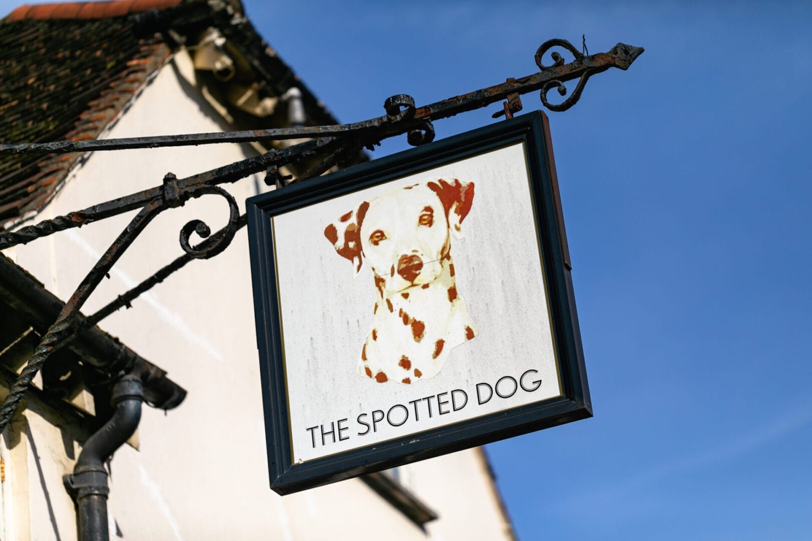 The Spotted Dog Dorking