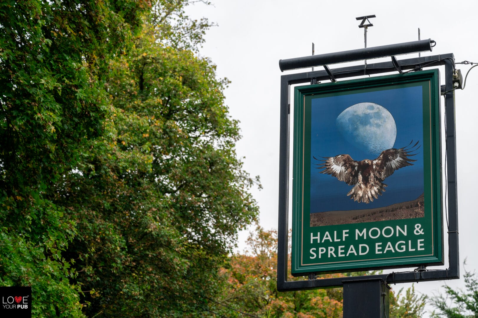 Half Moon & Spread Eagle, Winchester2