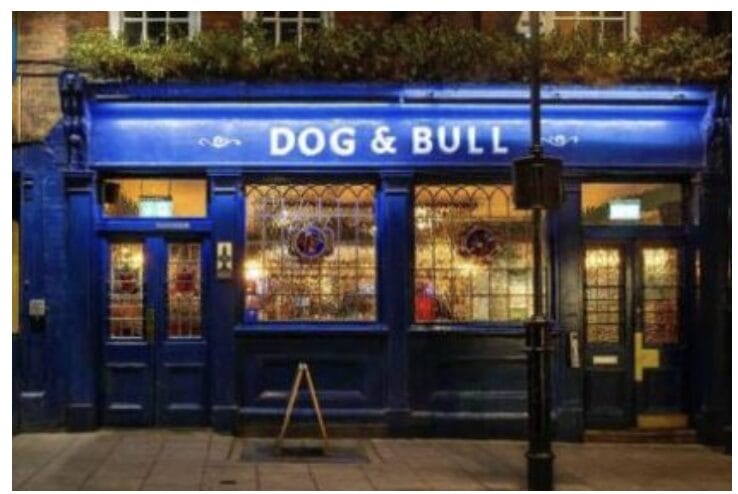 The Dog & Bull Croydon