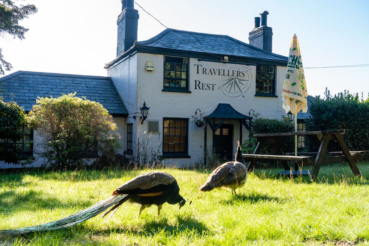 watermarked_-_TRAVELLERS-REST-HYTHE-24