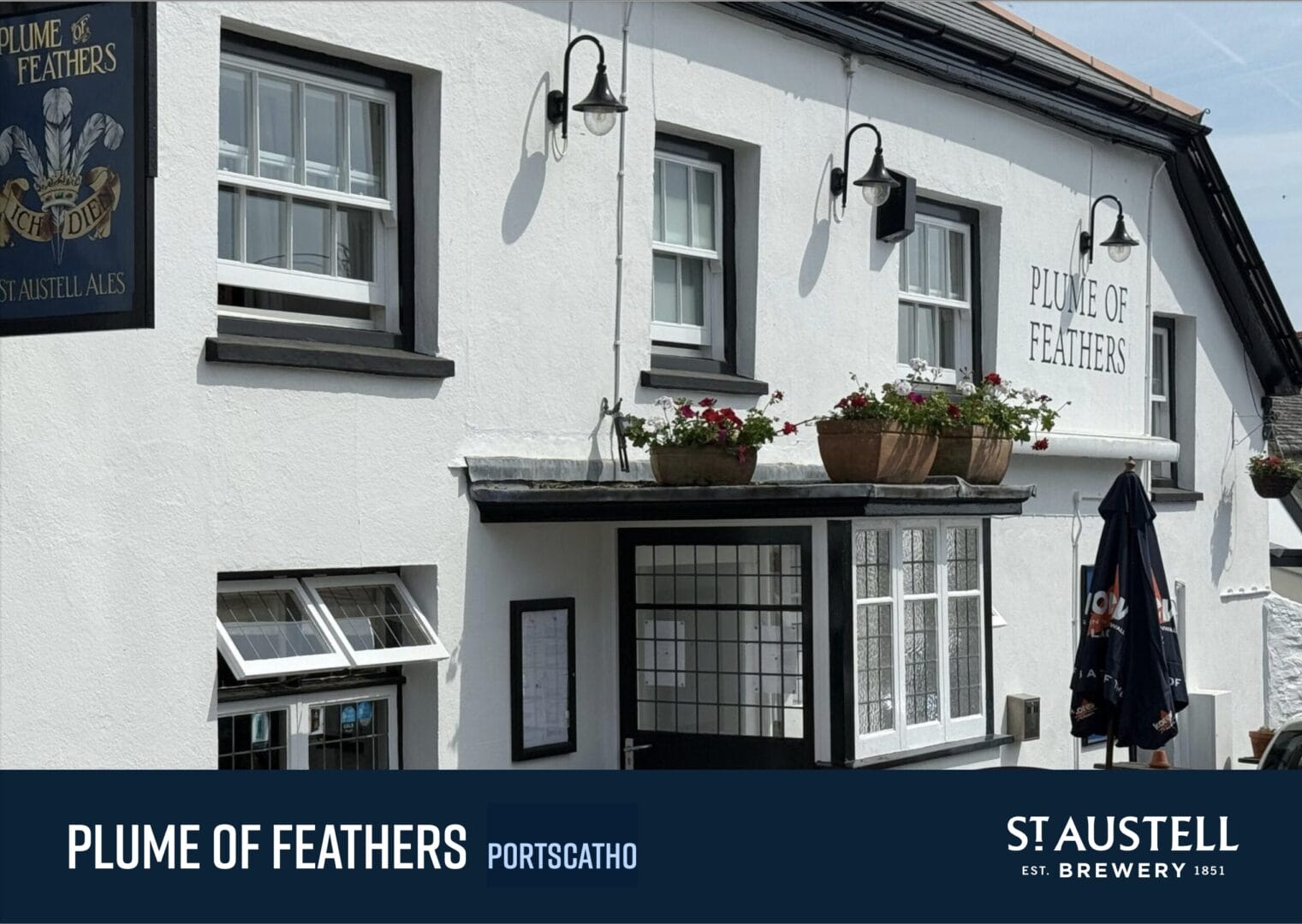 The Plumb Of Feathers Truro