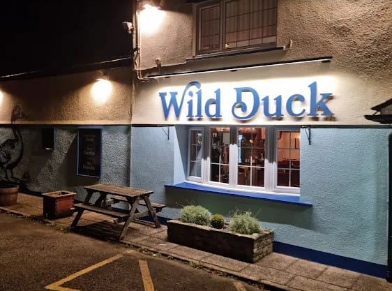 The Wild Duck Workington5